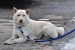 DSC_00191246.jpg