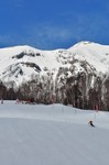 DSC_00411243.jpg