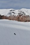 DSC_00641245.jpg