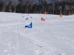 P2070190961.jpg