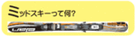 pt_midd-ski_02.gif